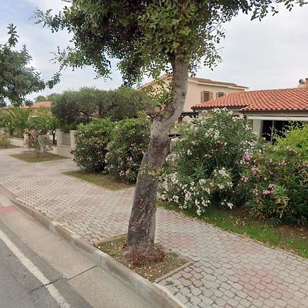 Apartament Living